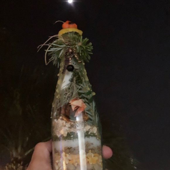 Prosperity, abundance, protection, New Year 2021 - Picture 6 of 16